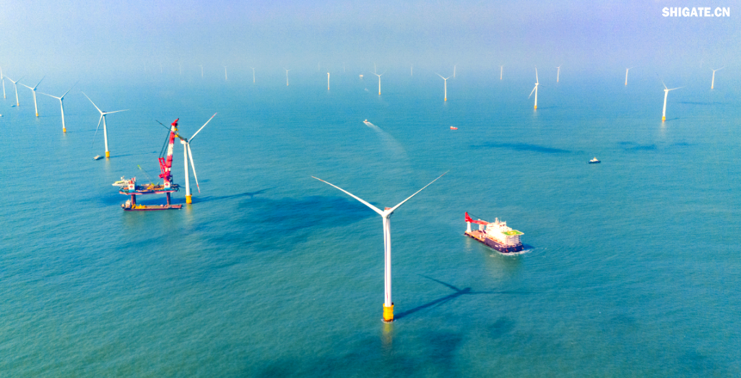 舞鋼公司得知大唐南澳勒門(mén)I海上風(fēng)電擴建項目的信息后，迅速組建了一支專(zhuān)門(mén)針對該項目的海上風(fēng)電鋼攻關(guān)團隊。該團隊由銷(xiāo)售、科技、生產(chǎn)、質(zhì)量等部門(mén)的杰出人才組成，目的是克服該項目鋼板單重大、生產(chǎn)難度高的挑戰，為營(yíng)銷(xiāo)系統提供全面的支援。團隊與設計院、施工單位和業(yè)主進(jìn)行了深入的交流和討論，針對生產(chǎn)過(guò)程中遇到的難題，與相關(guān)方進(jìn)行了多輪討論，并制定了專(zhuān)門(mén)的生產(chǎn)技術(shù)方案，以加快交貨速度，滿(mǎn)足施工需求，節約施工成本，最終贏(yíng)得了客戶(hù)的認可。在生產(chǎn)過(guò)程中，舞鋼公司精心組織，全力以赴推進(jìn)合同生產(chǎn)，確保了訂單的高質(zhì)量和及時(shí)交付，為項目的建設提供了堅強的支持。